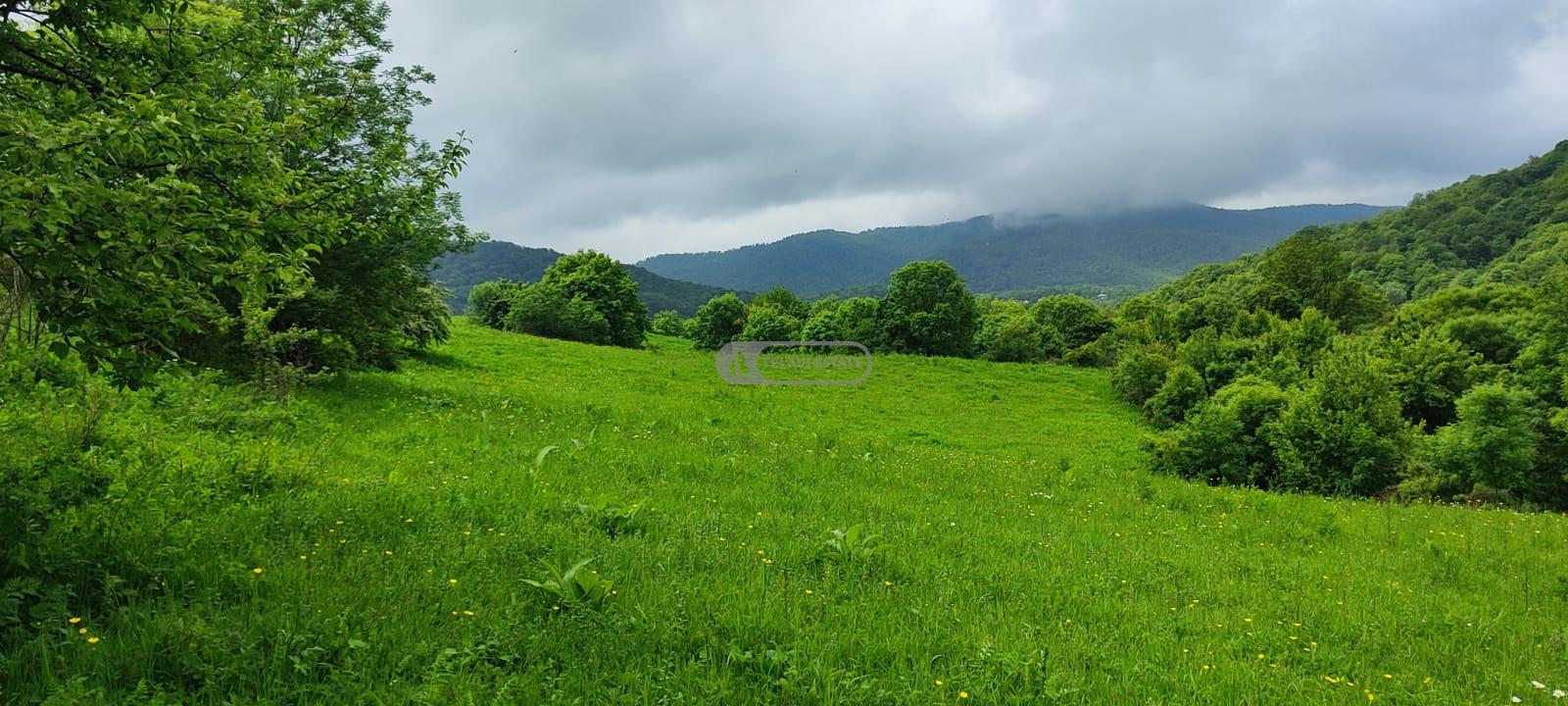 მიწის ნაკვეთი სოფელ გომბორში