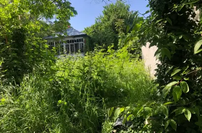 მიწის ნაკვეთი თელავში