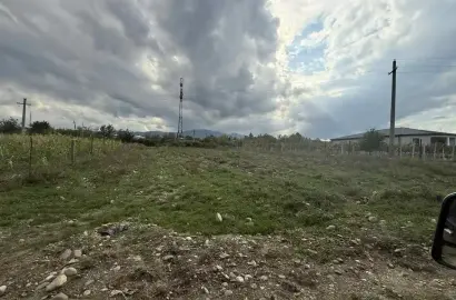 სამოსახლო მიწის ნაკვეთი