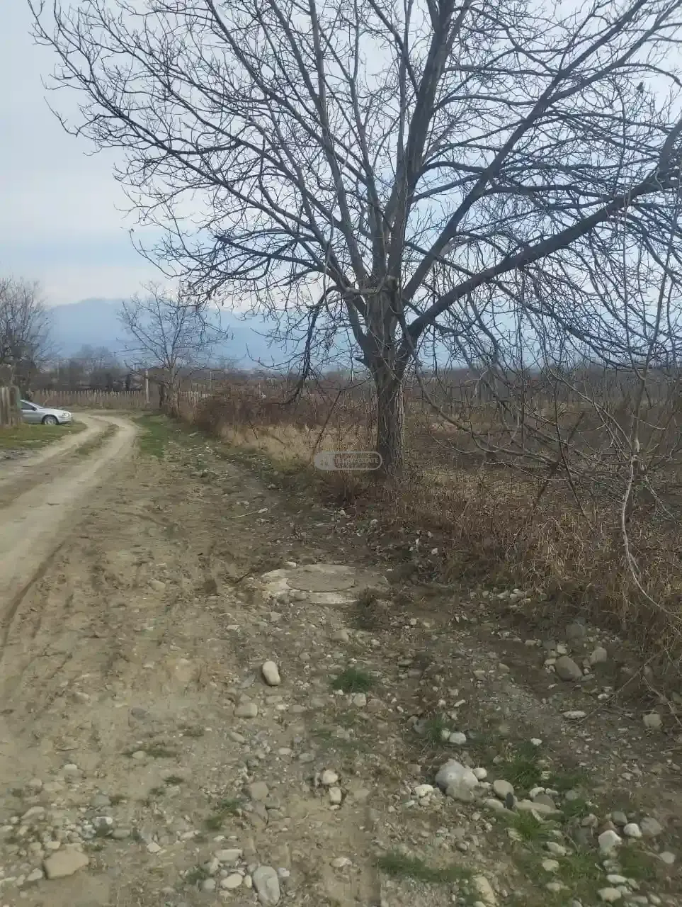 Land plot in Kurdghelauri