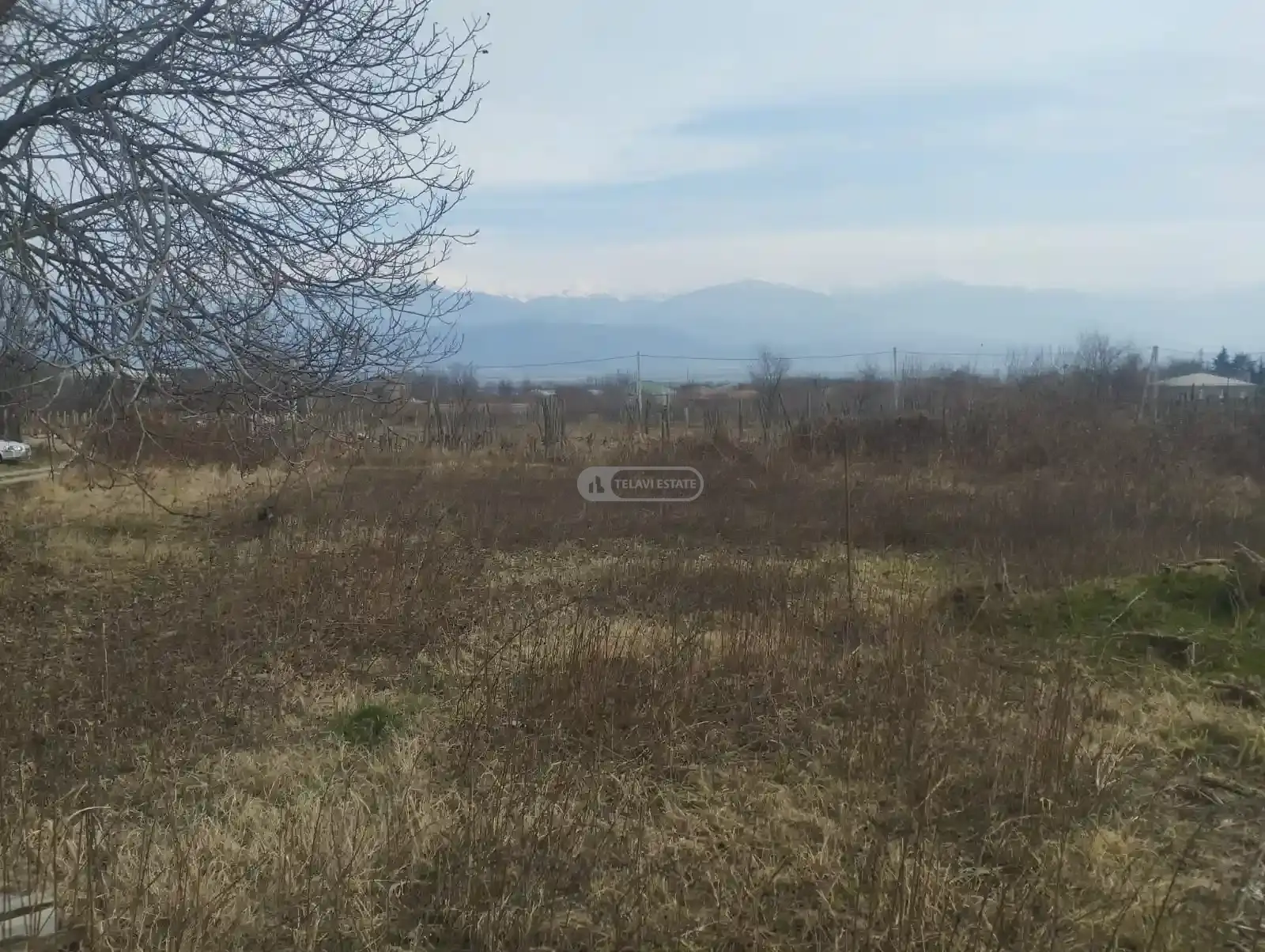 Land plot in Kurdghelauri