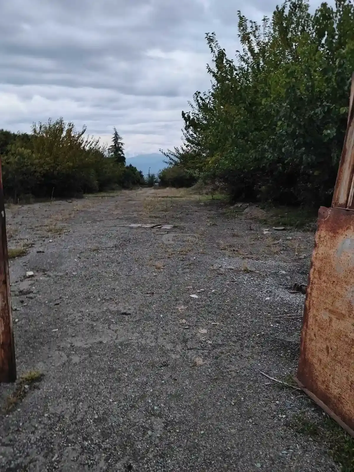 კომერციული დანიშნულების მიწა