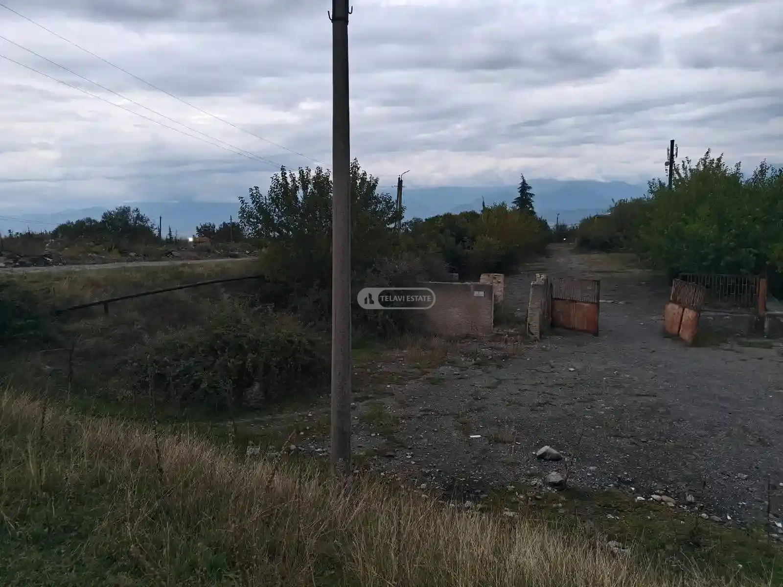 კომერციული დანიშნულების მიწა