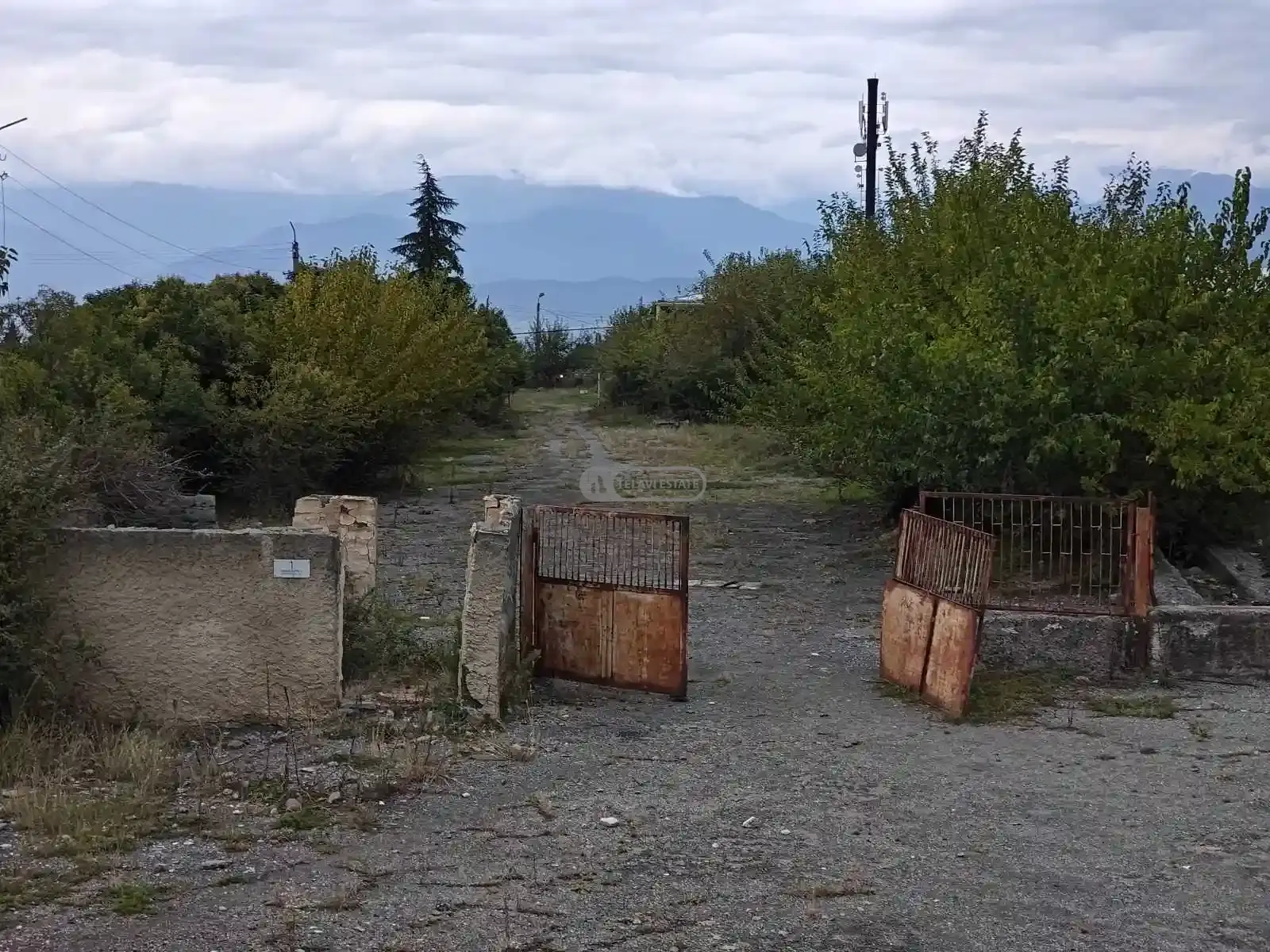 კომერციული დანიშნულების მიწა