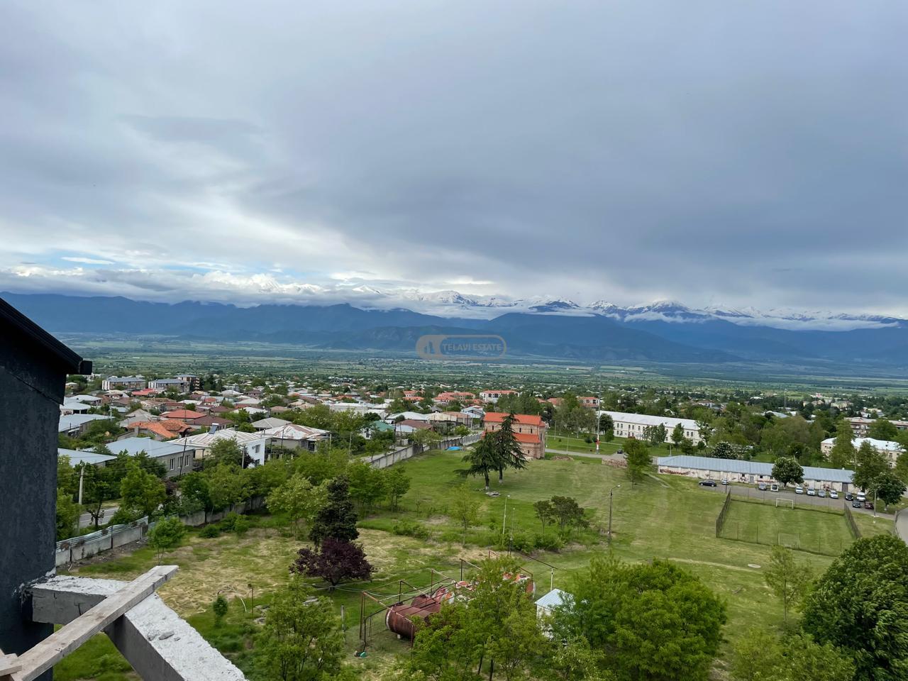 დუპლექსის ტიპის ბინა