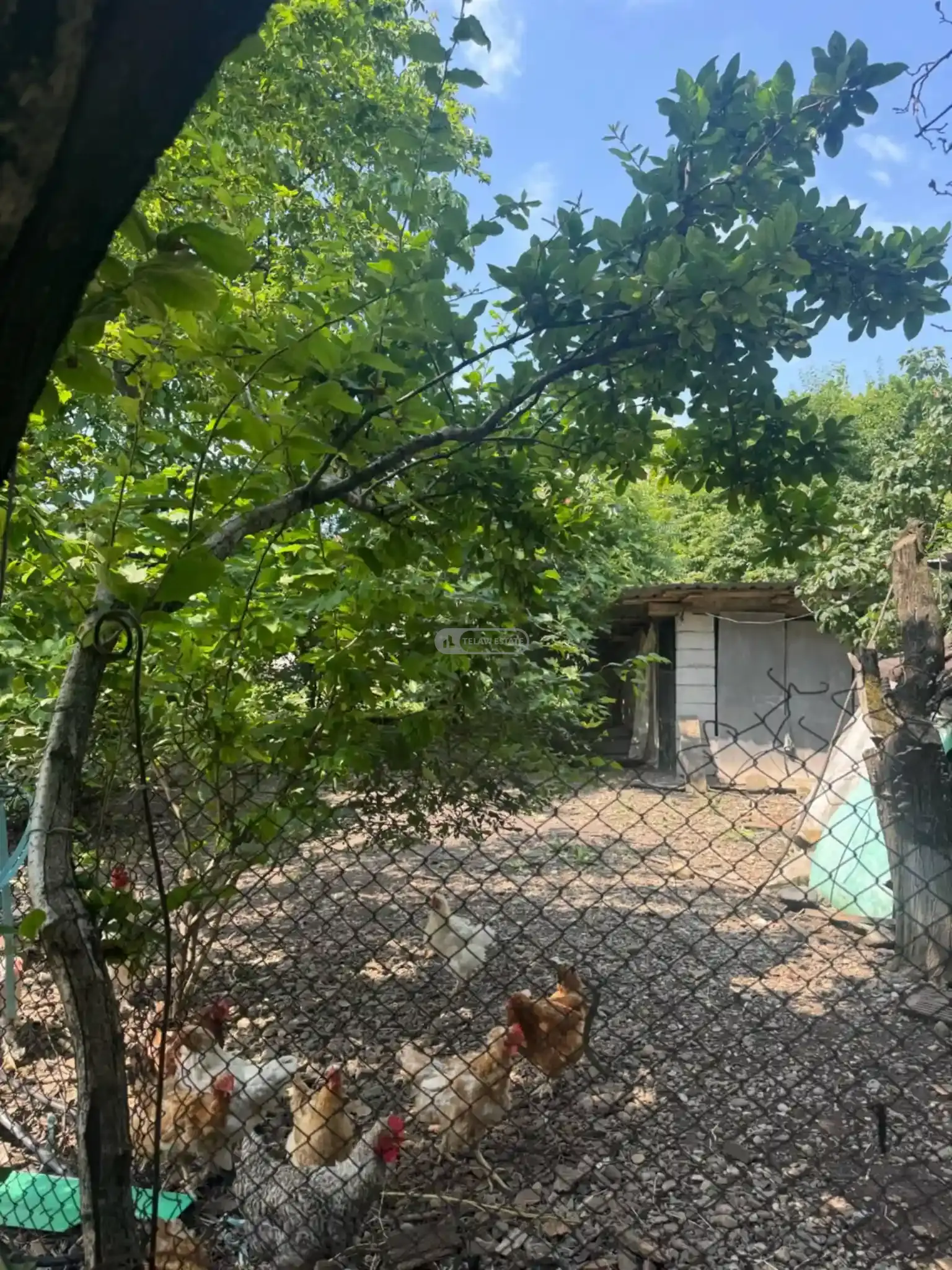 მიწის ნაკვეთი წინანდალში