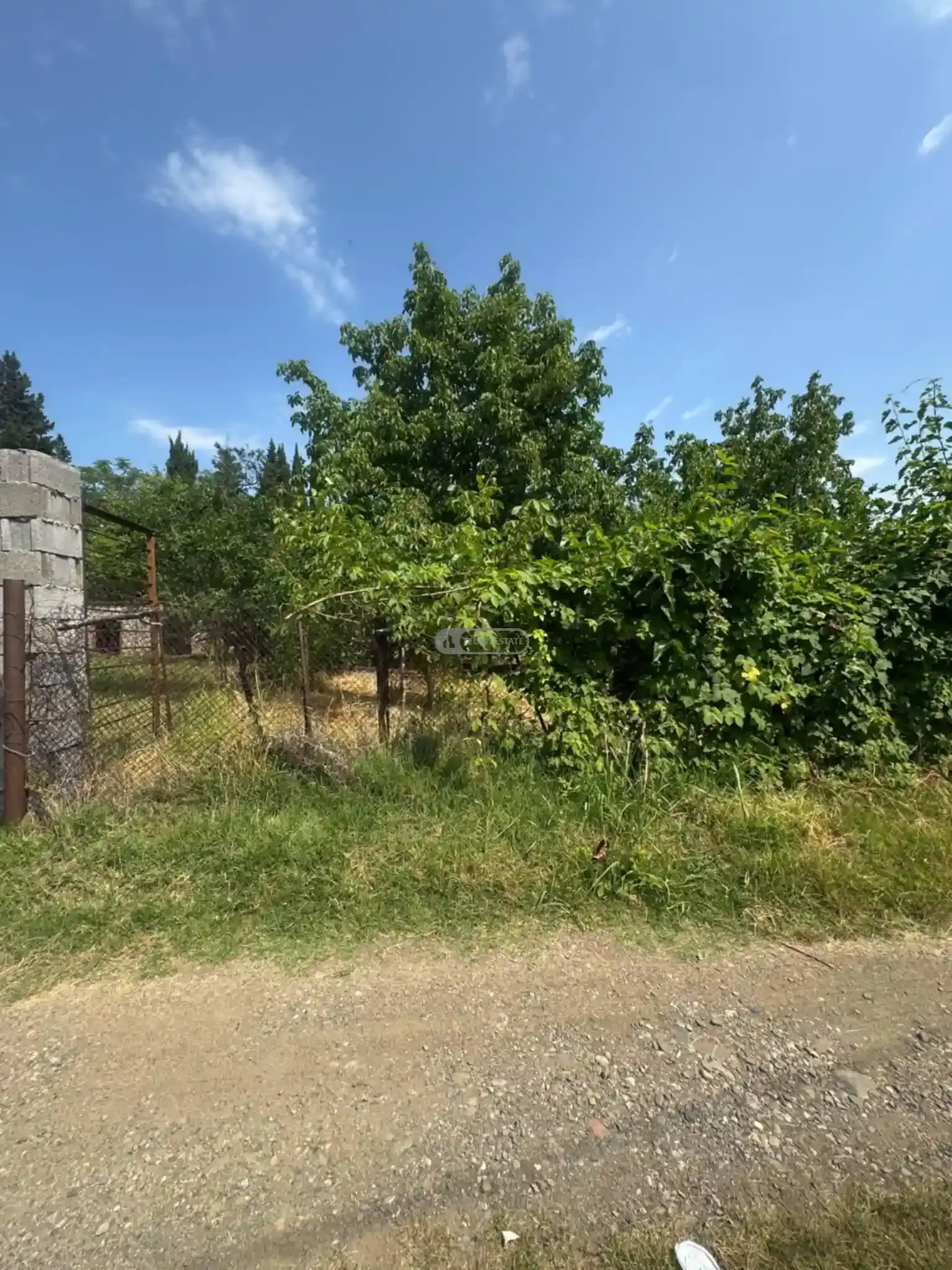 მიწის ნაკვეთი წინანდალში