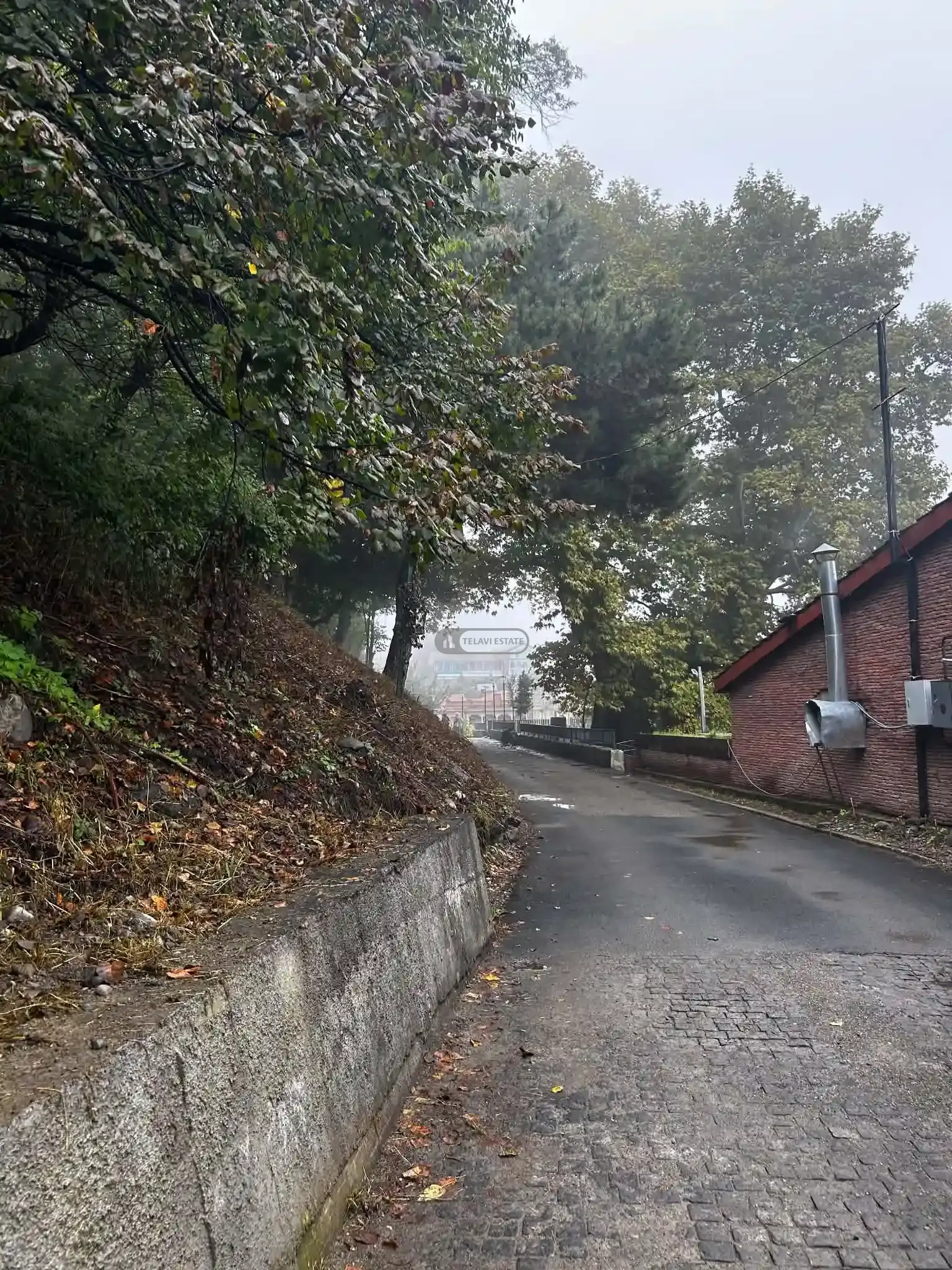 Land Plot Near the Historic Plane Tree