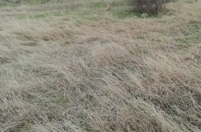 Земельный участок в Кондоли