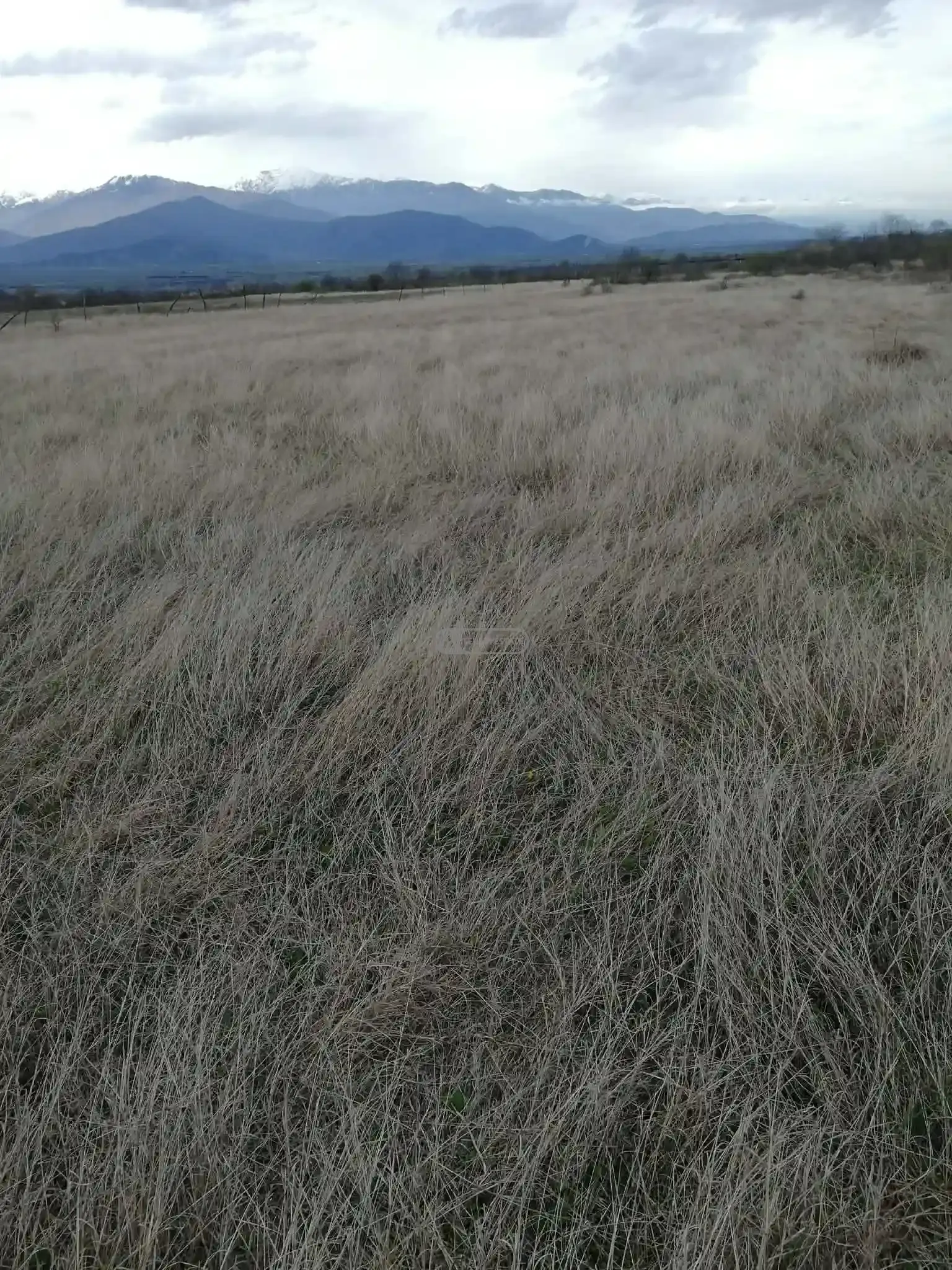 მიწის ნაკვეთი კონდოლში