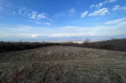 მიწის ნაკვეთი ვარდისუბანში