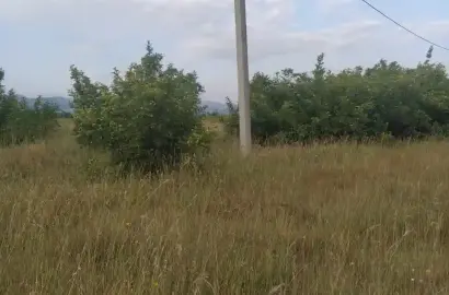 Land Plot in Kondoli