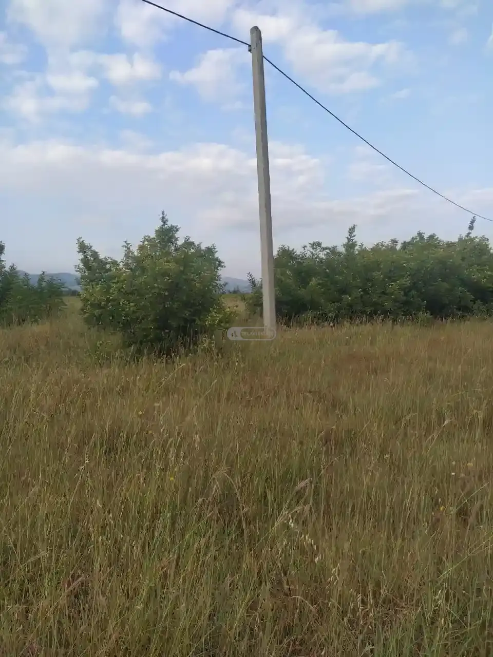 მიწის ნაკვეთი კონდოლში