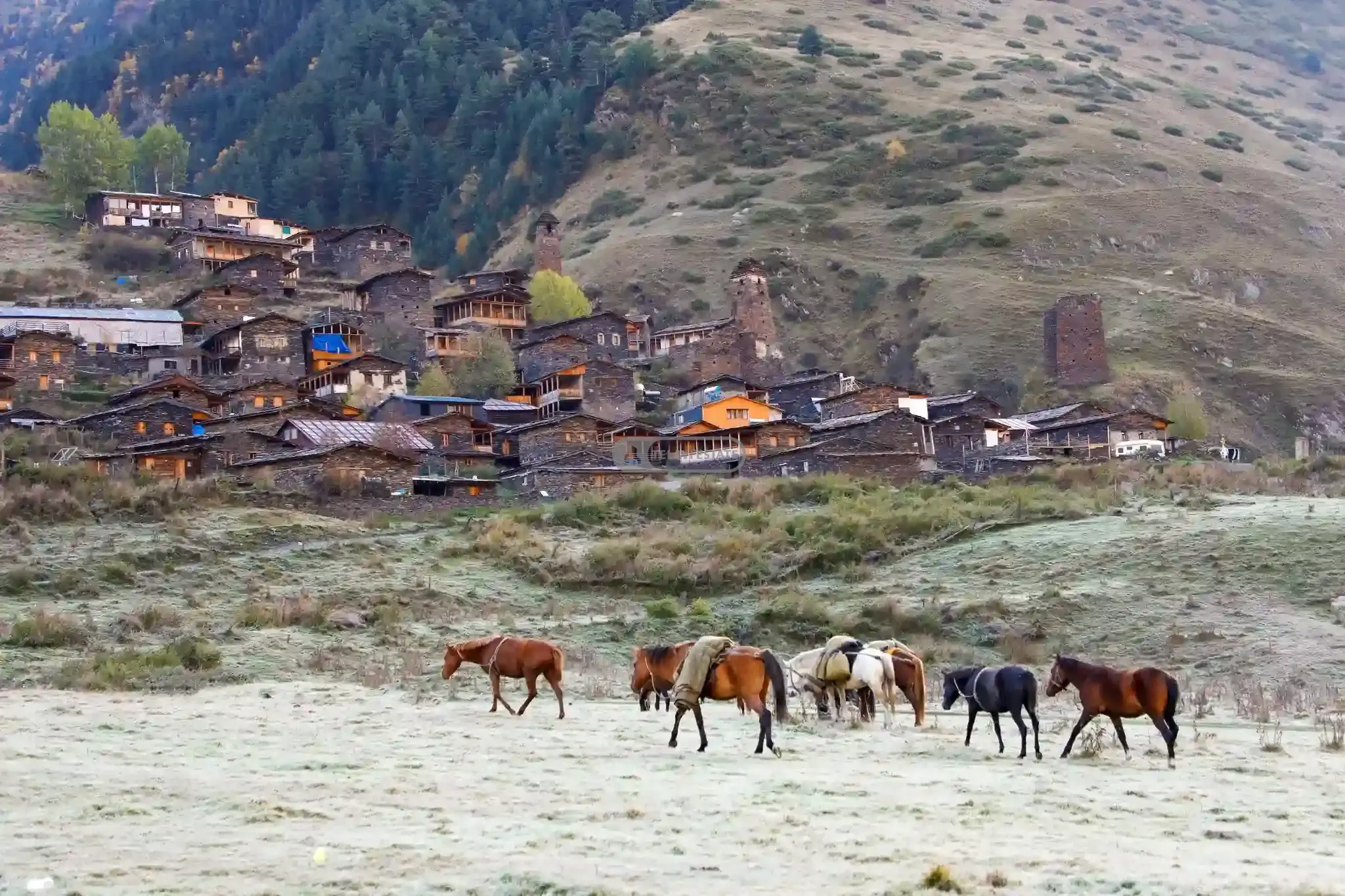 სახლი სოფელ დართლოში - თუშეთი
