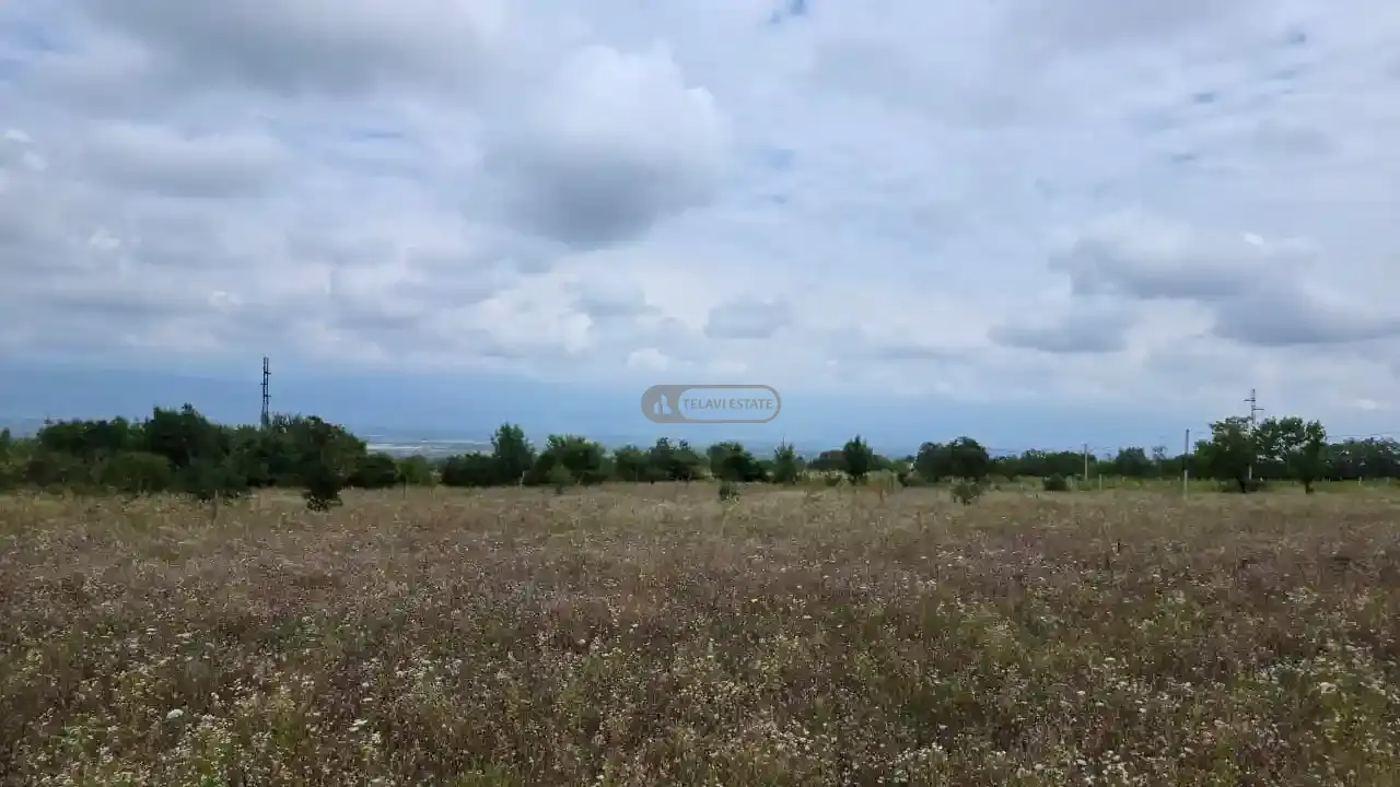 მიწის ნაკვეთი კისისხევში