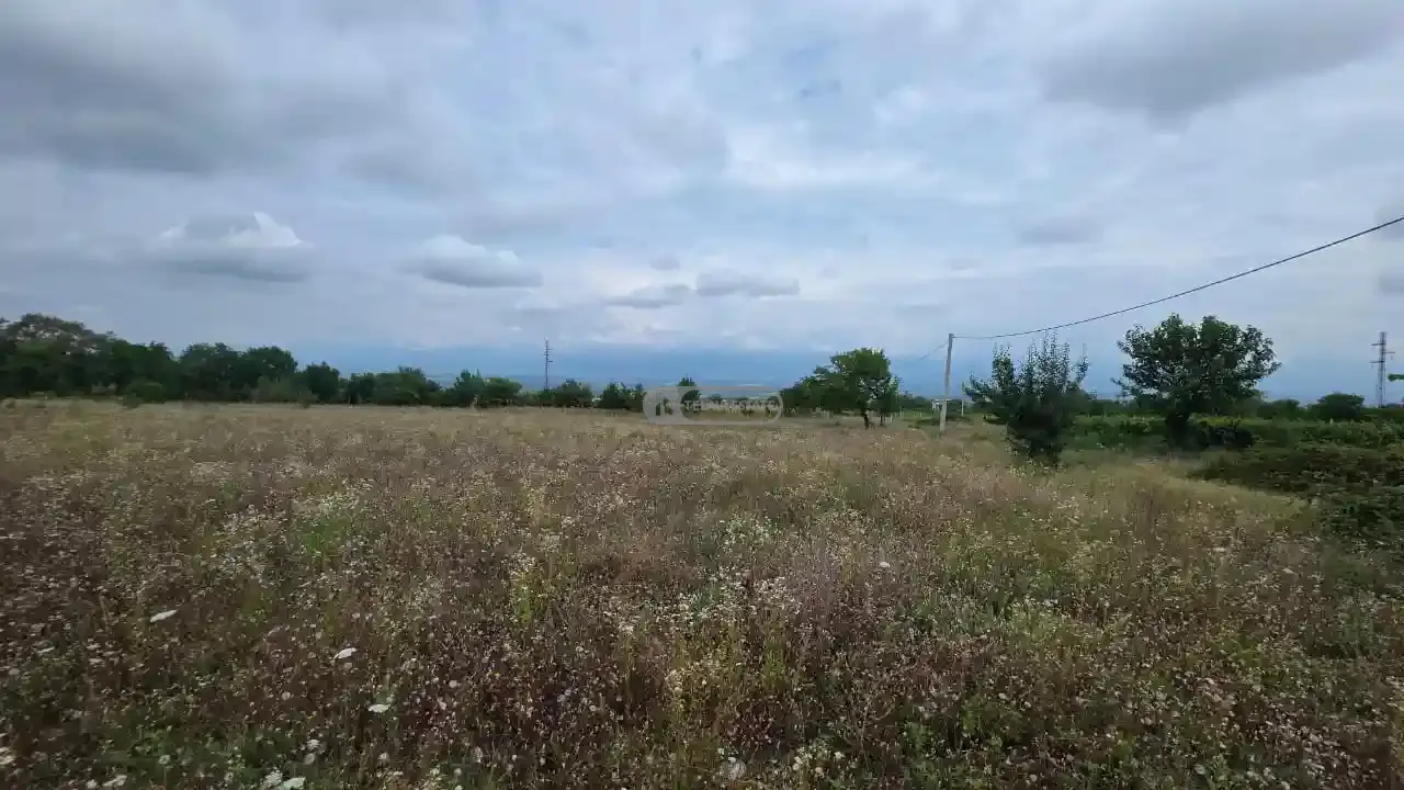 მიწის ნაკვეთი კისისხევში