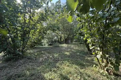 სააგარაკე მიწის ნაკვეთი ართანაში
