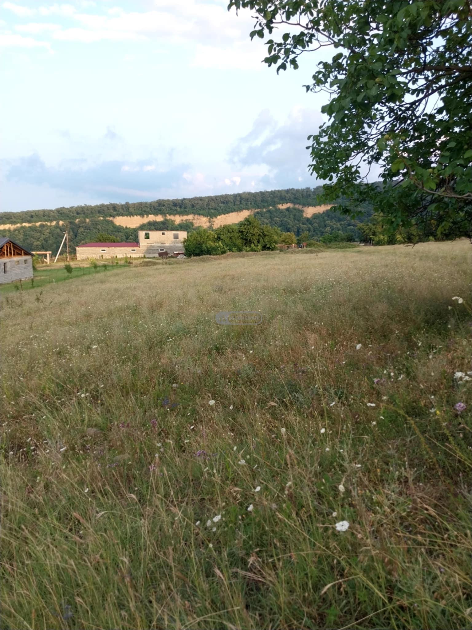 მიწის ნაკვეთი კისისხევში