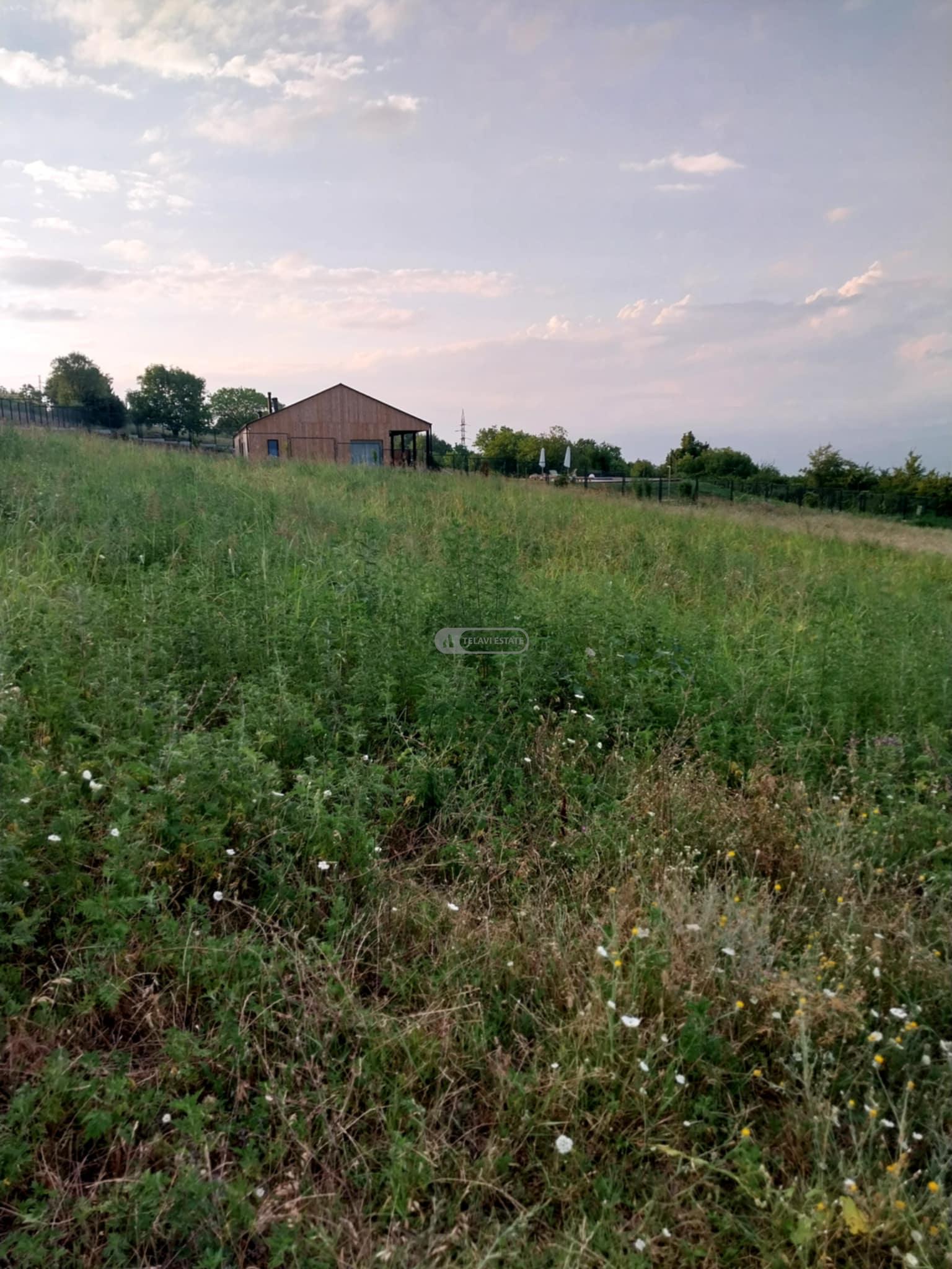 მიწის ნაკვეთი კისისხევში